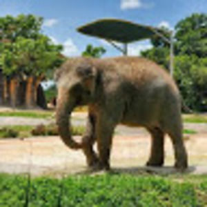 Meet your Posher, Miami